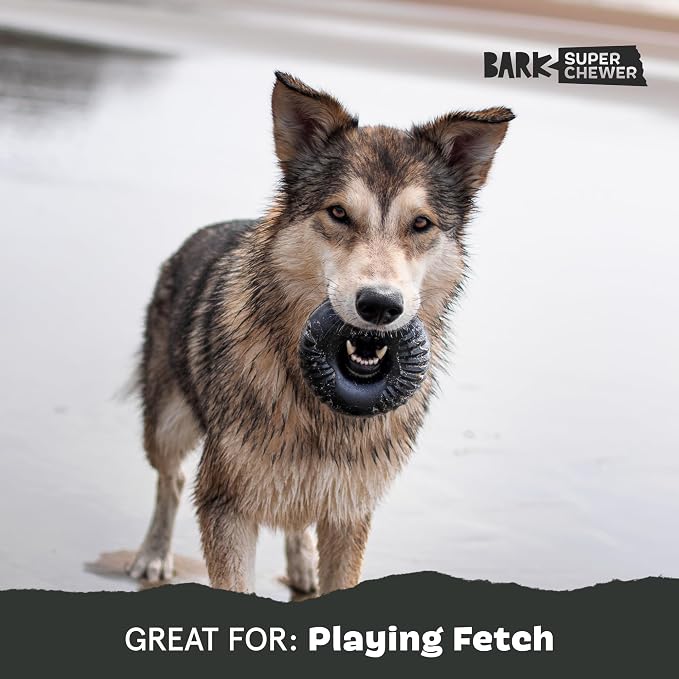 Barkbox Super Chewer Tough Dog Chew Toys - Image 5