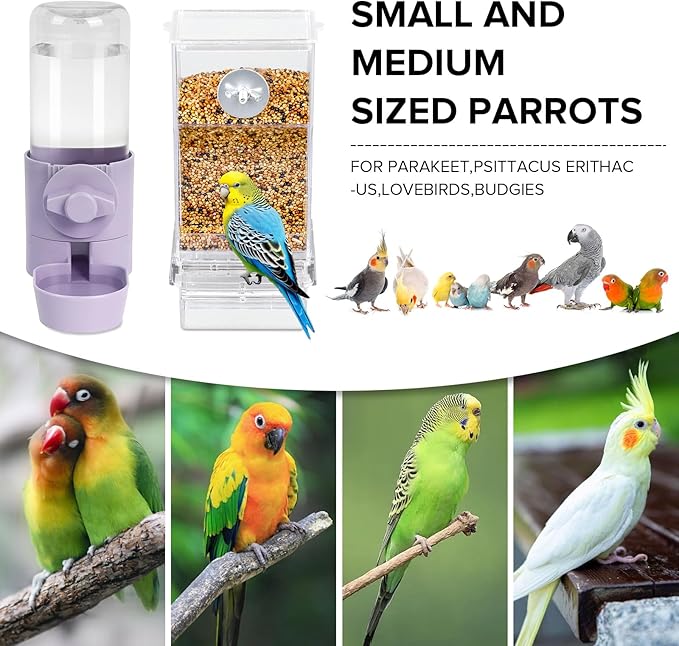 No Mess Bird Feeder Water Dispenser Set, Bird Feeder - Image 2