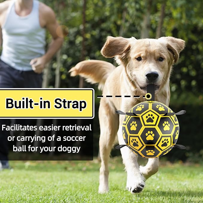 Diman Dog Balls Toys: Soccer Balls - Image 2