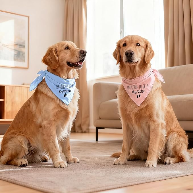2 Pack Dog Bandana Pregnancy Announcement, I'm Going to Be a Big Brother Gender - Image 5