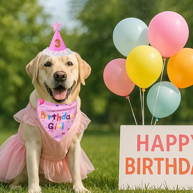 Dog Boy Girl Birthday Party Hat, Dog Birthday Party Supplies, Doggie Birthday - Image 7