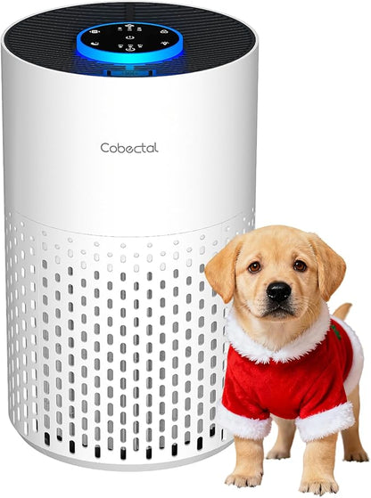 Air Purifiers for Bedroom Home, Cobectal Air Cleaner by cobectalsupplier