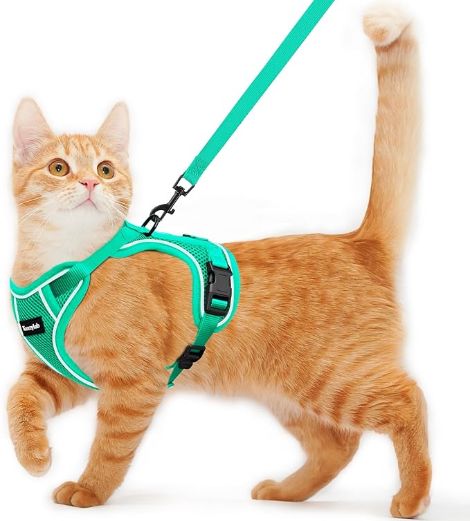 Cat Harness and Leash for Walking Escape Proof Soft Adjustable Cat Leash by Unknown