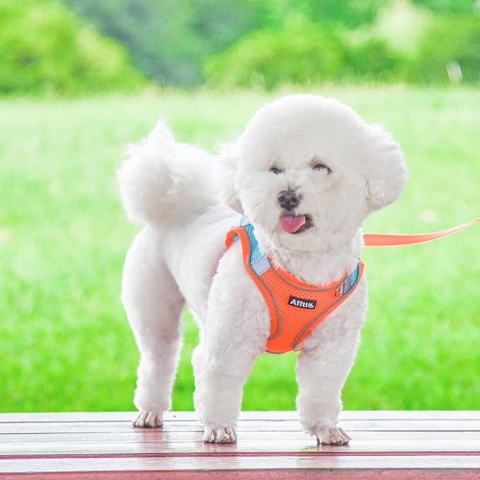 AIITLE No Pull Dog Harness and Leash Set, Step in Adjustable Dog Harness - Image 5