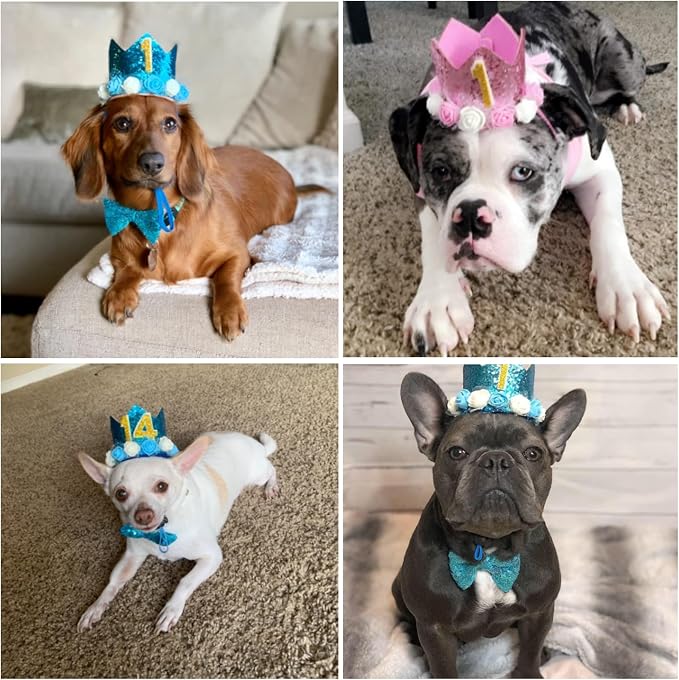 Pet Birthday Hat, Dog Birthday Crown Hat and Bowtie - Image 6