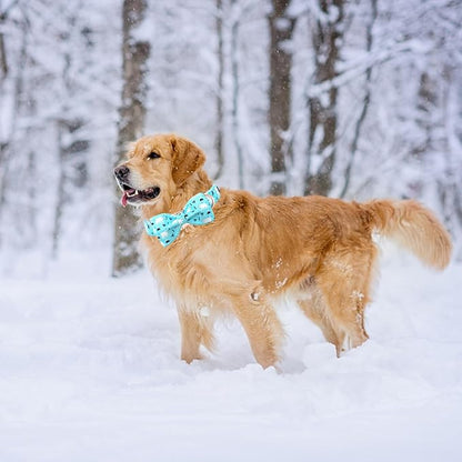 Dog Collar-Bow Dog Collar Blue Bear Pattern Pet Collar Dog Cute Bow Tie Soft - Image 6