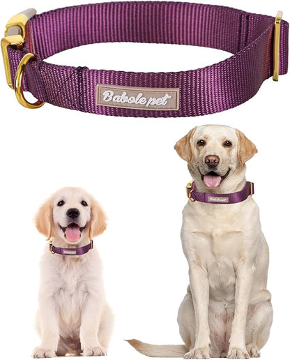Nylon Dog Collar - Image 2