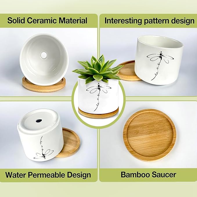 Window Garden Dragonfly Planter Pots, Dragonfly Gifts - Image 3