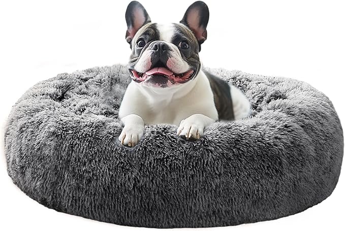 JOLLYVOGUE Calming Dog Bed Medium Size Dog, Anti-Anxiety Donut Medium Pet Bed by JOLLYVOGUE