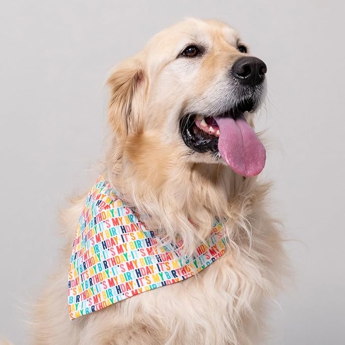 Birthday Dog Bandanas 1 Pack, Colorful HBD Dog Scarfs - Image 6