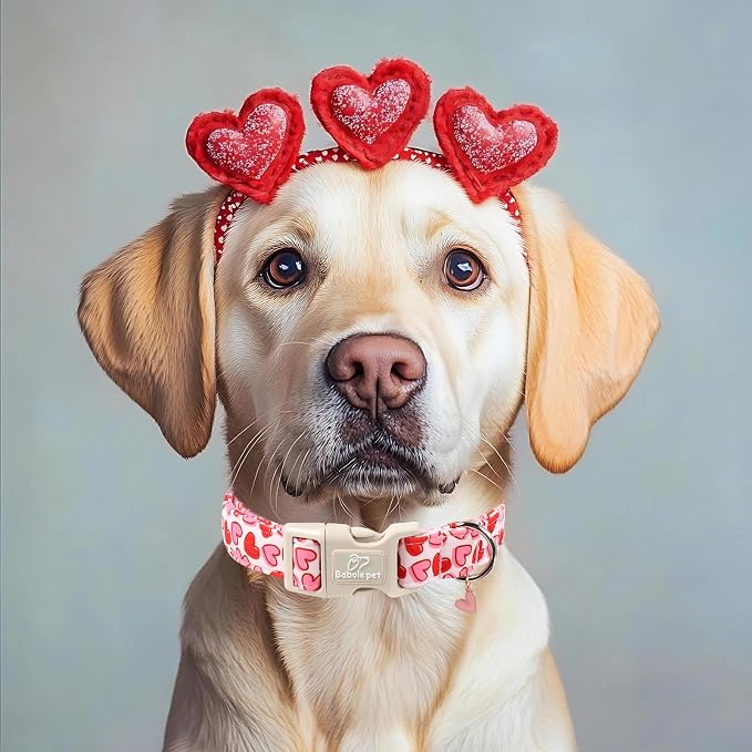 Valentines Dog Collar for Small Dogs - Image 5