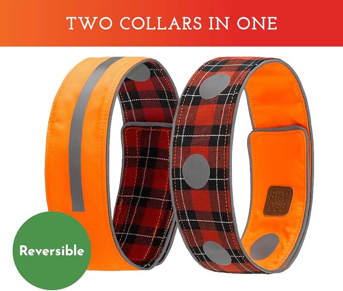SPOT THE DOG! Reflective Dog Collar - Image 5