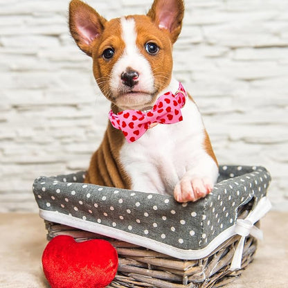 Lionheart glory Dog Bow Collar Valentine's Day Dog Collar - Image 4