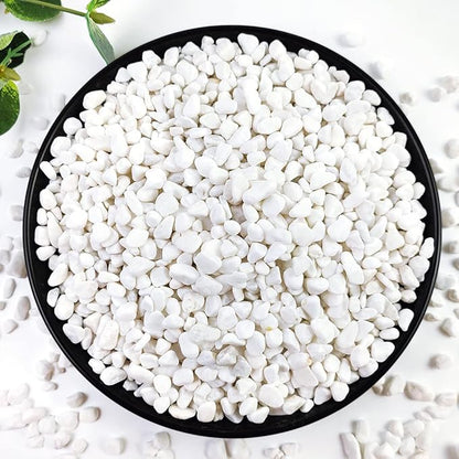10LB Succulent and Cactus Gravel, 1/5 Inch White Natural Decorative Polished by YISZM-ForYourNaturalLife