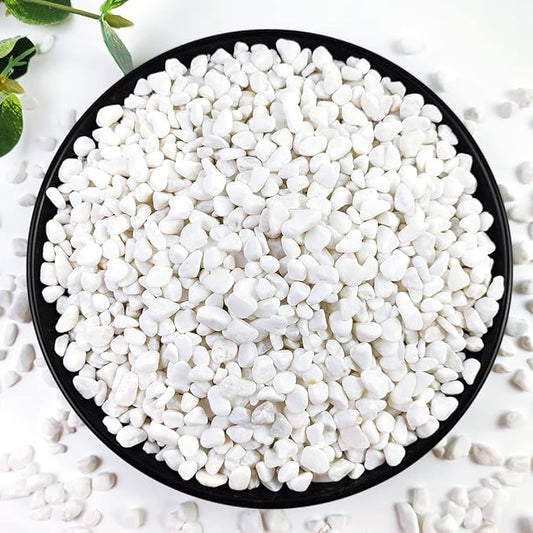 10LB Succulent and Cactus Gravel, 1/5 Inch White Natural Decorative Polished by YISZM-ForYourNaturalLife
