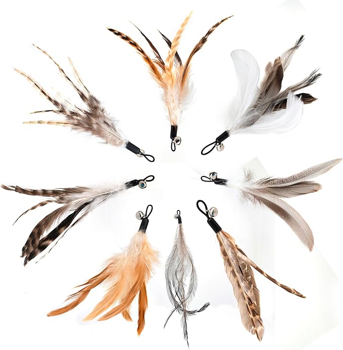 Natural unstained Feathers, Cat Feathers Refill - Image 4