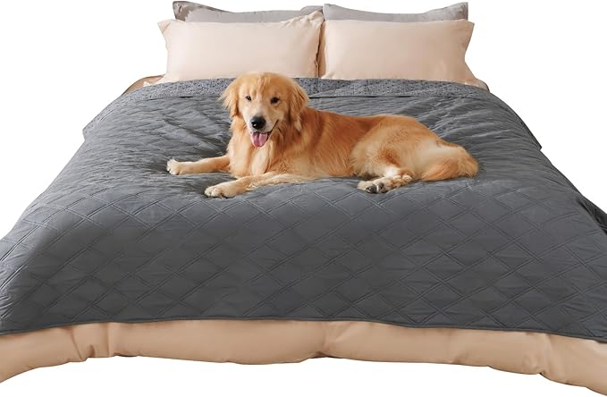 Luciphia 100% Waterproof Couch Cover Blanket by luciphia