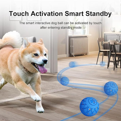 Interactive Dog Ball, Automatic Moving, Bouncing and Rotating, Silent Foam - Image 7