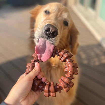 Nylabone Textured Ring Power Chew Toy - Image 8