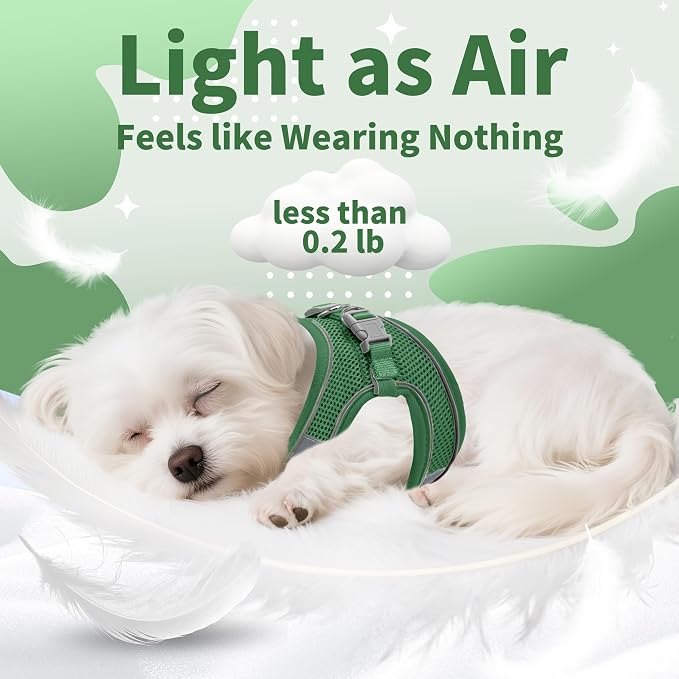 AIITLE Easy Walk Dog Harness and Leash Set - Image 5