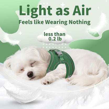 AIITLE Easy Walk Dog Harness and Leash Set - Image 5