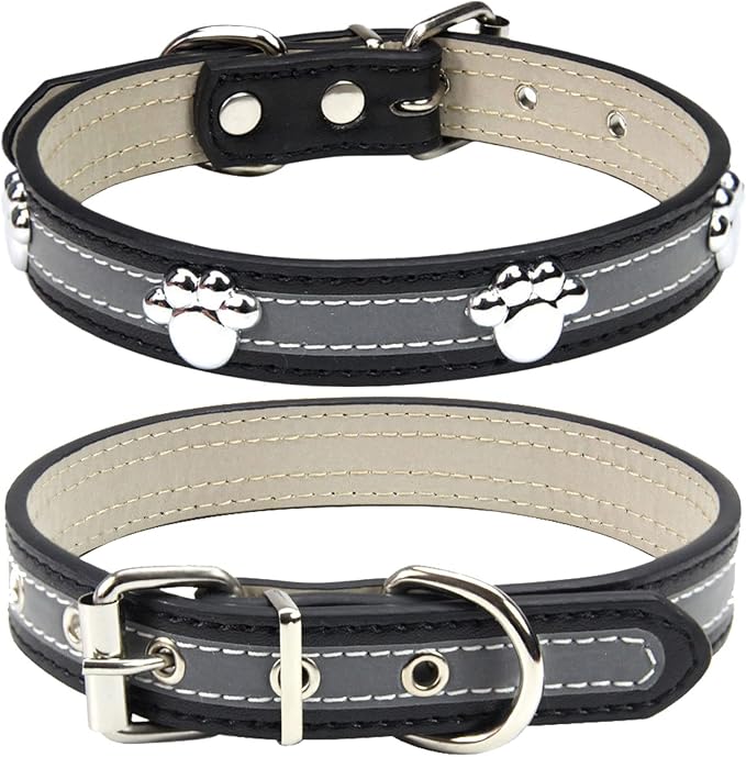 PETCARE Reflective Dog Collar by PETCARE