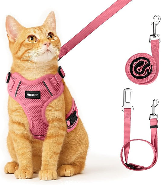 Cat Harness, Cat Harness and Leash by Unknown