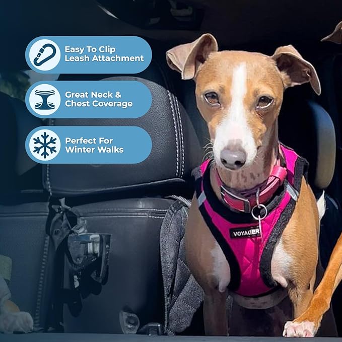 Best Pet Supplies - Image 5