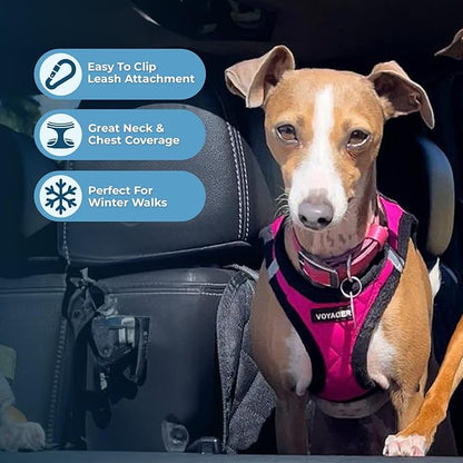 Best Pet Supplies - Image 5