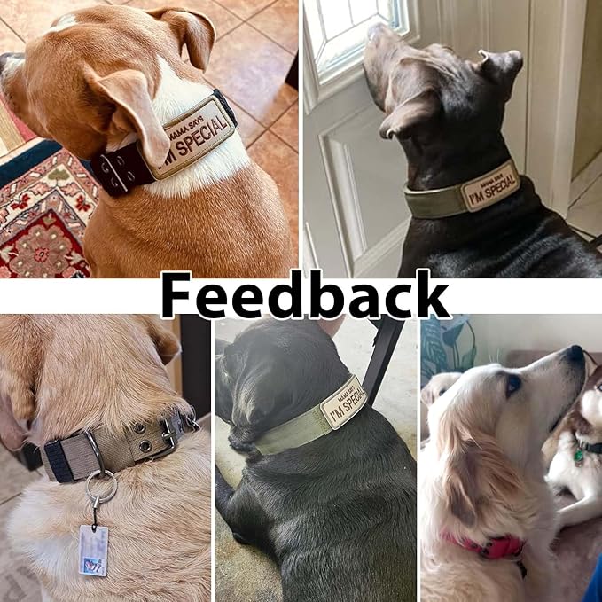 Tactical Dog Collar Military Adjustable Dog Collars Soft Nylon Training Collar - Image 5