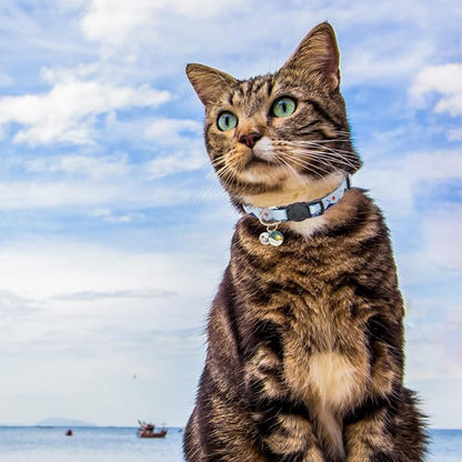 SCENEREAL Breakaway Cat Collars - Image 5
