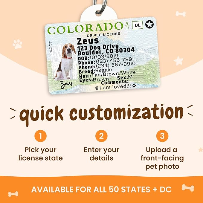 PawFurEver Personalized Dog Driver License ID Tag - Image 4