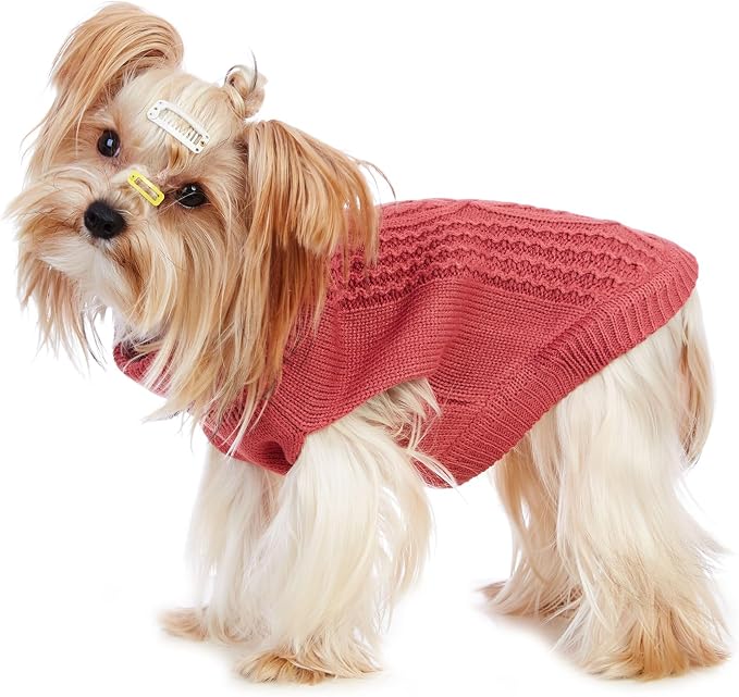 Stretchy Cat Sweater - Image 5
