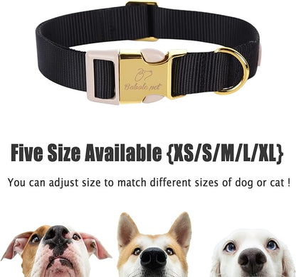 Nylon Dog Collar - Image 6