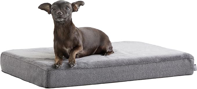 Barkbox Orthopedic Dog Bed by BARK