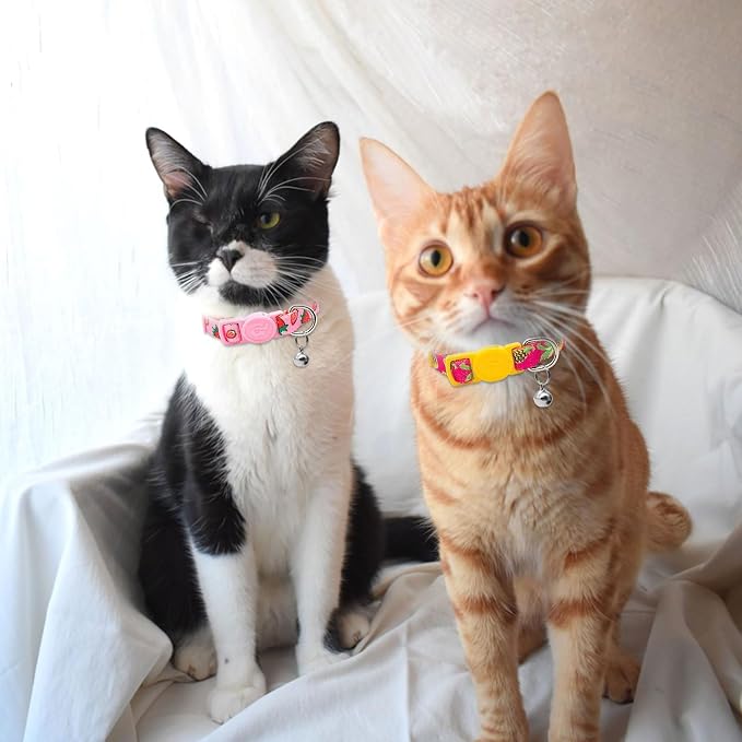 azuza 4 Pack Cat Kitten Collar Breakaway - Image 3