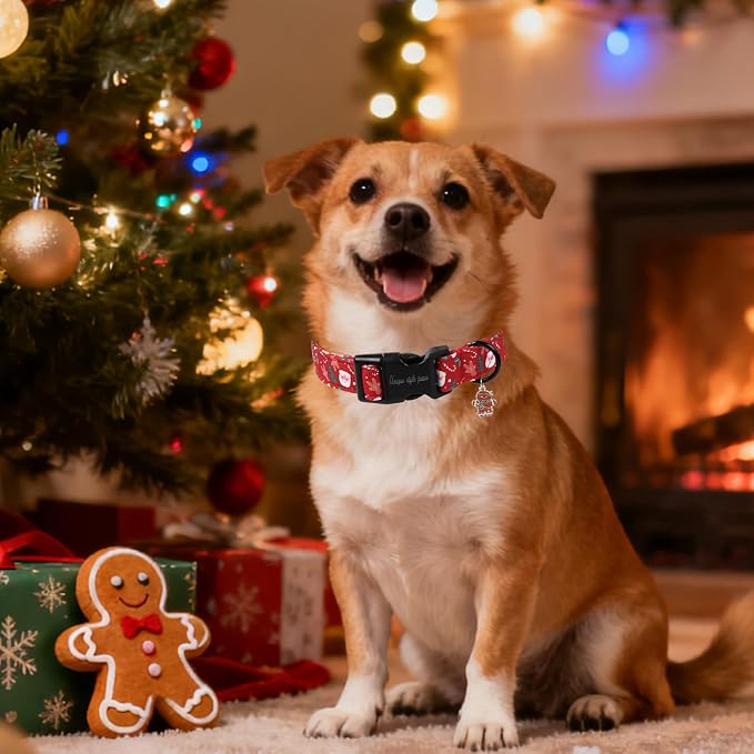 Christmas Dog Collar, Unique Style Paws Santa Claus Dog Collar - Image 5