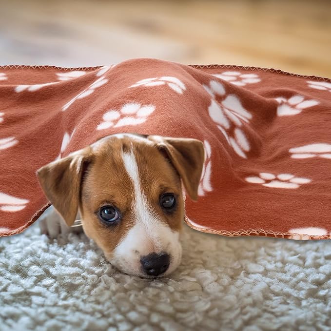 Tatuo 10 Pieces Pet Blankets - Image 6