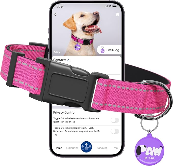 Reflective Dog Collar for Large Dogs by Pawduct