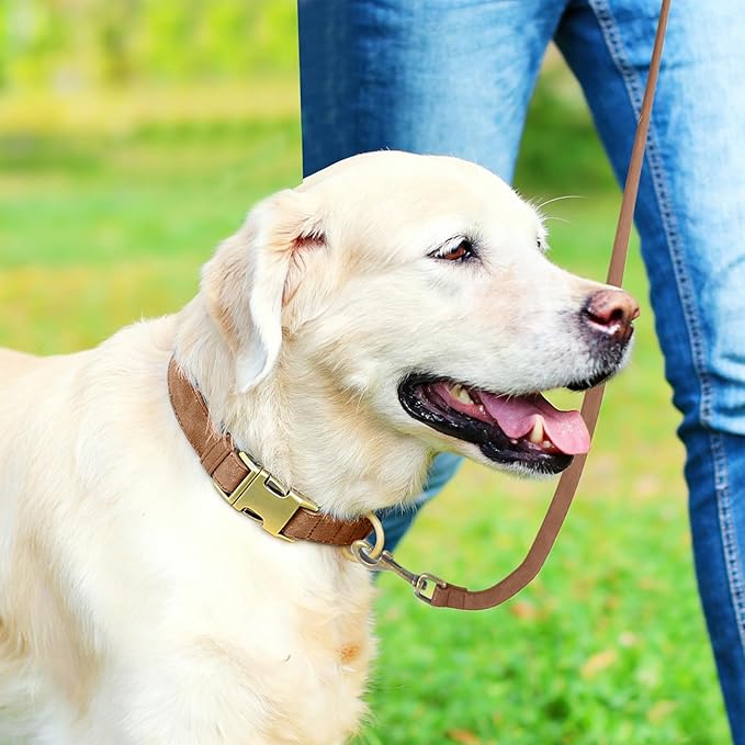 Genuine Leather Dog Collar - Image 3