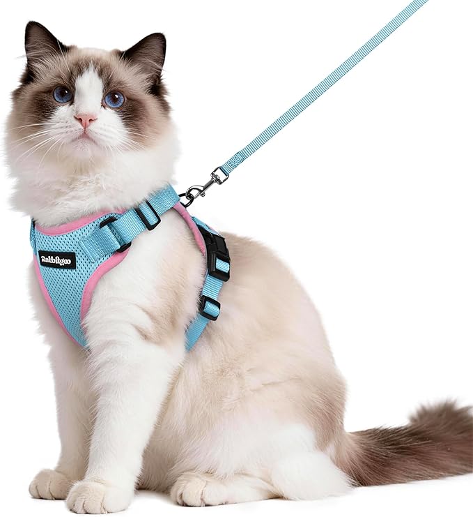rabbitgoo Cat Harness and Leash by rabbitgoo