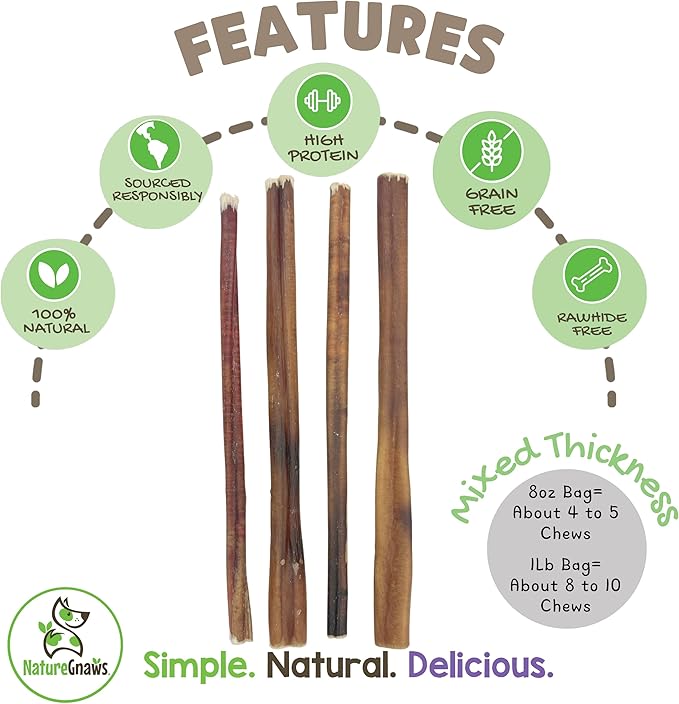 Nature Gnaws Bully Sticks for Dogs 11-12" - Image 2