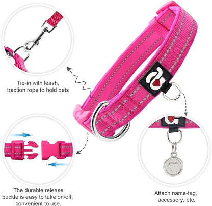 azuza Reflective Dog Collar - Image 3