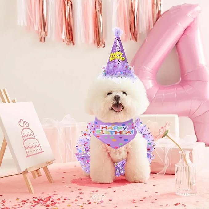 Dog Birthday Bandana with Hat and Dress Girl Set Puppy Birthday Party Supplies - Image 4
