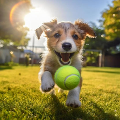 6 Pack Mini Tennis Balls for Pet Playing Fecth, 2 inch Dogs Training Tennis - Image 7
