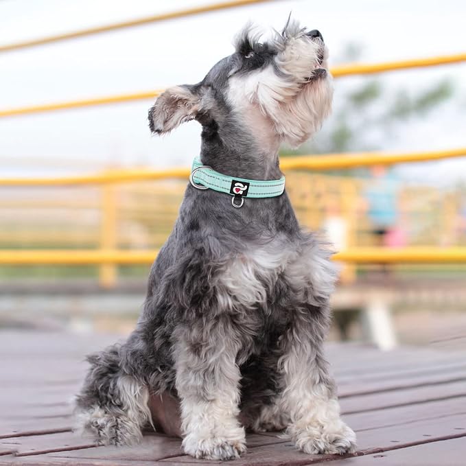 azuza Reflective Dog Collar, Soft Neoprene Padded Pet Collar - Image 5
