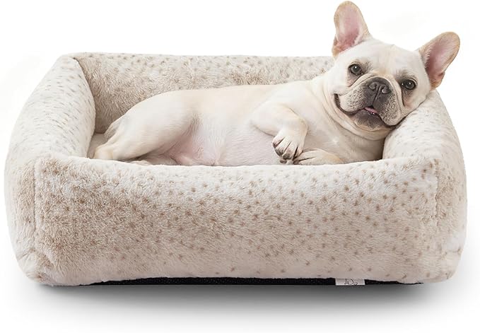 JOEJOY Small Dog Bed for Small Dogs, Washable Orthopedic Premium Soft Corduroy by JOEJOY