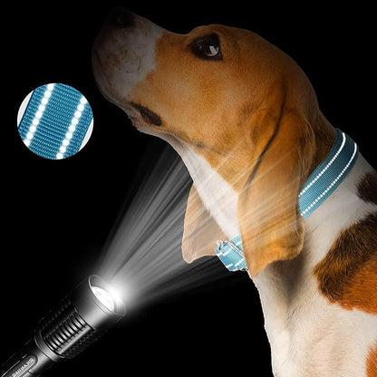 Cunno 12 Pcs Martingale Collar for Medium Dogs Reflective Dog Collar - Image 4