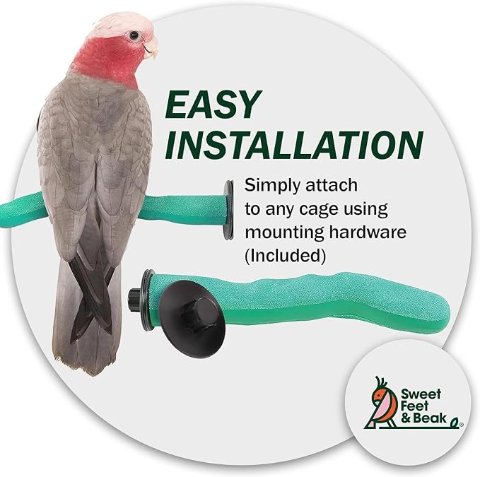 Sweet Feet and Beak Safety Pumice Perch - Image 6