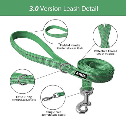 AIITLE Easy Walk Dog Harness and Leash Set - Image 10